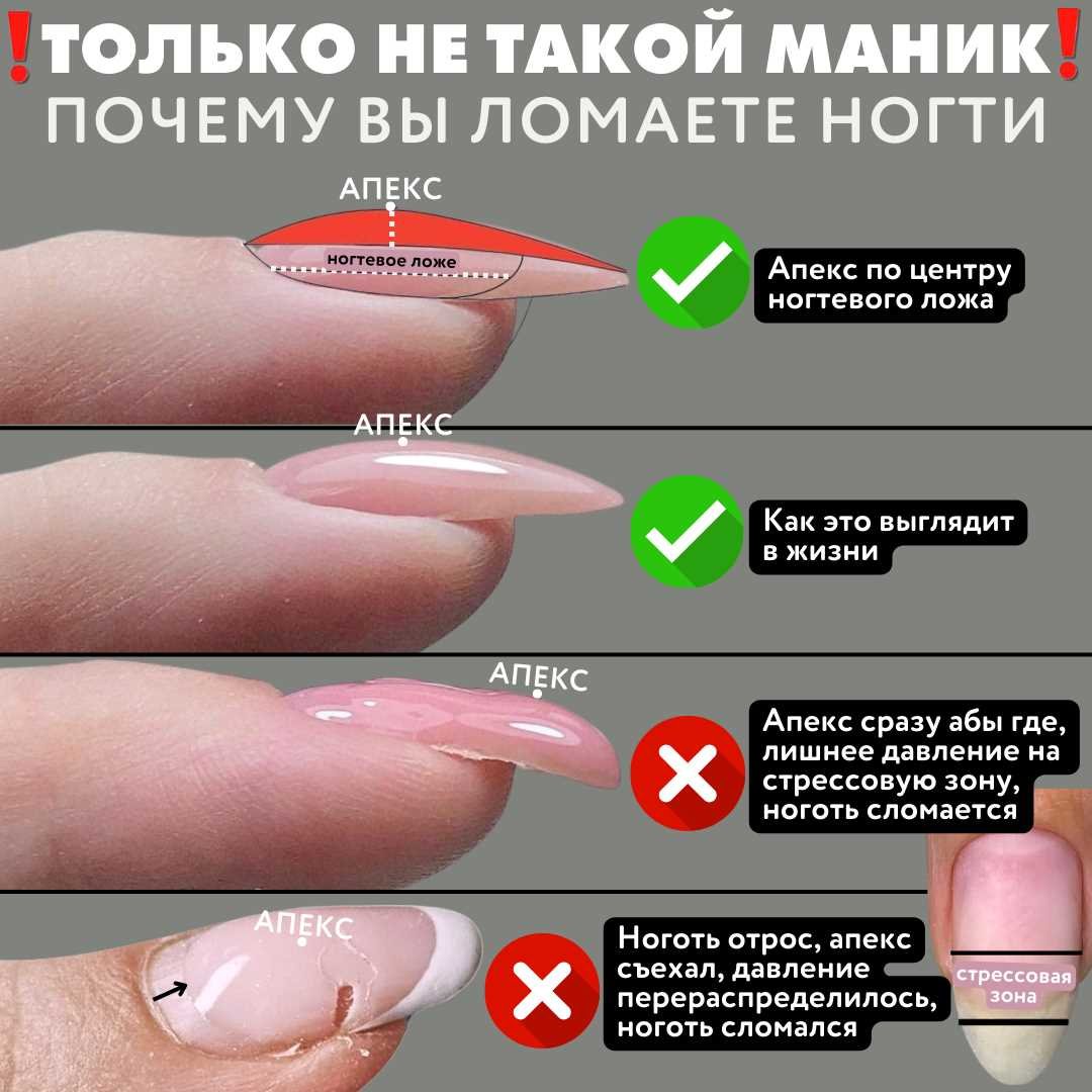 Популярные техники формирования апекса в Ташкенте