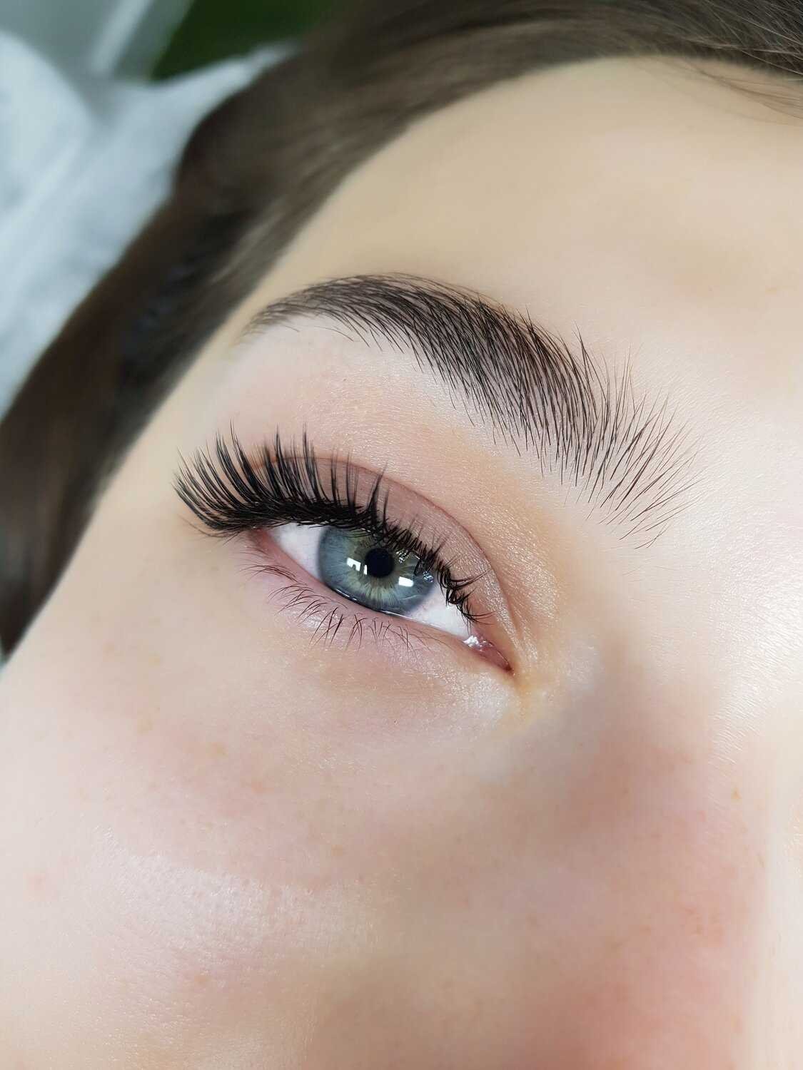 Средняя стоимость услуг наращивания ресниц в Ташкенте