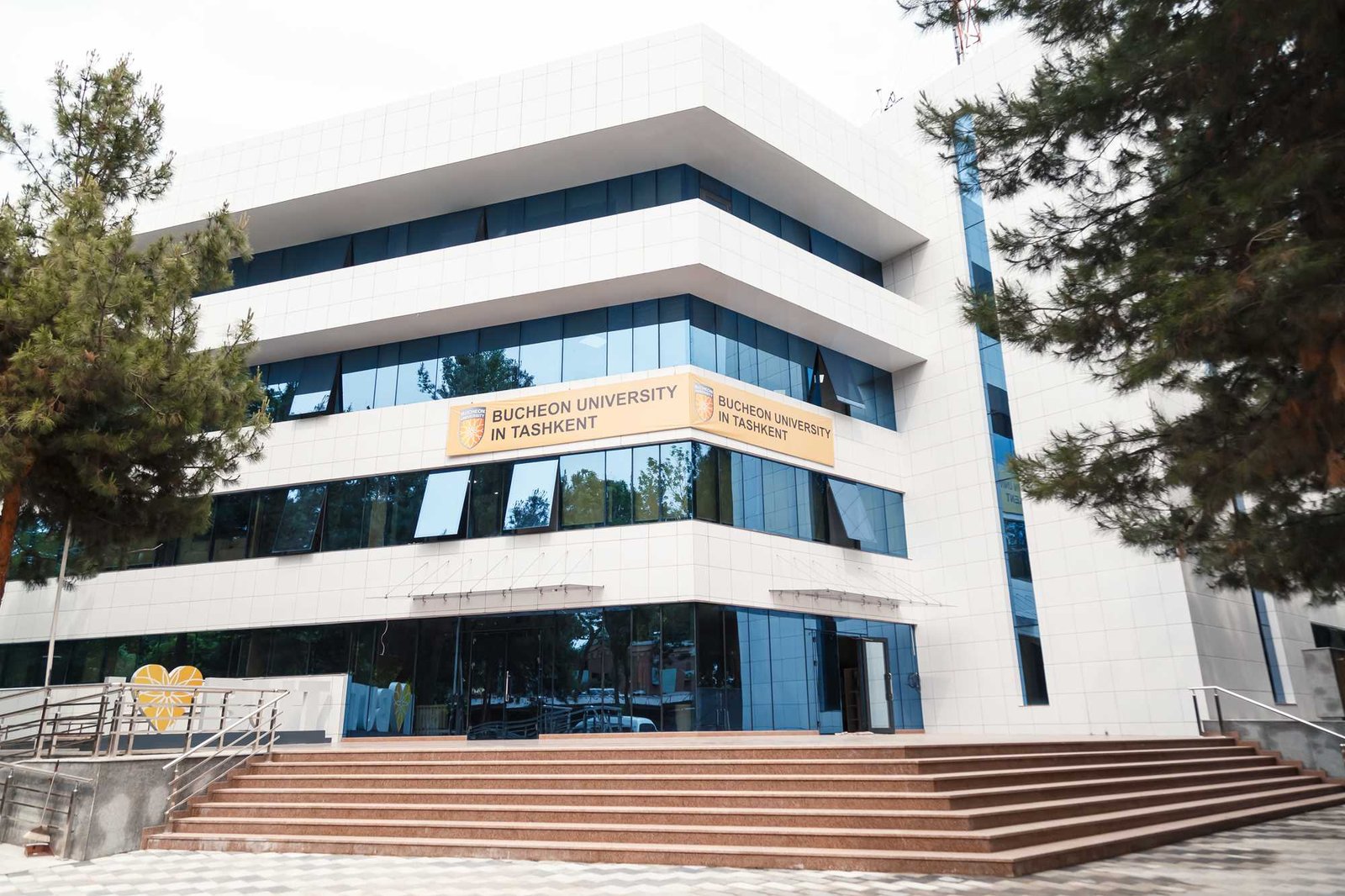 Преподаватели и их опыт в интимных упражнениях для женщин