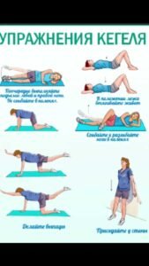 Упражнения для мышц тазового дна Упражнения для мышц тазового дна